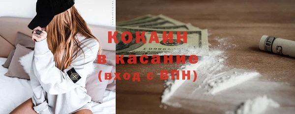 твердый Михайловск