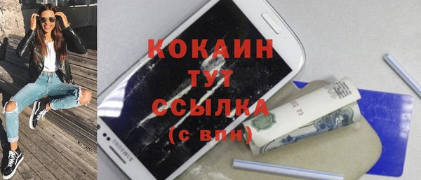 твердый Михайловск
