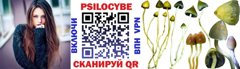 Галлюциногенные грибы прущие грибы  kraken маркетплейс  мориарти какой сайт  Кимовск 