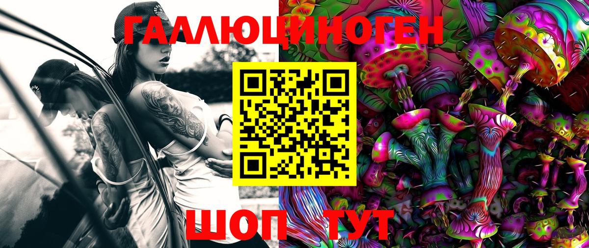 что такое наркотик  Псилоцибиновые грибы Psilocybine cubensis  Кимовск  Галлюциногенные грибы мухоморы 