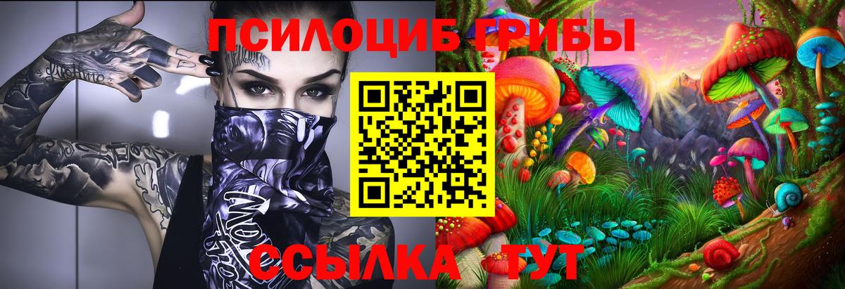 Псилоцибиновые грибы Psilocybe Кимовск