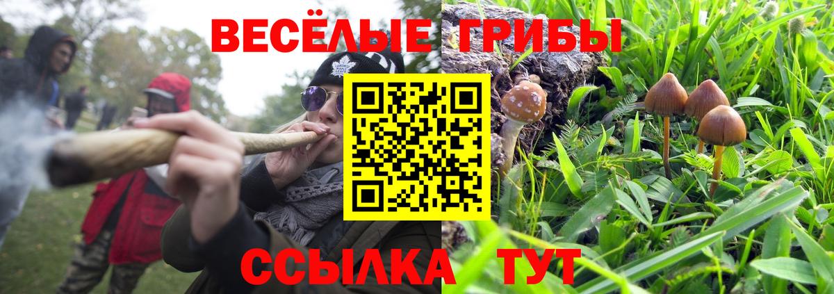 Кимовск  Псилоцибиновые грибы Psilocybe  Вход с VPN 